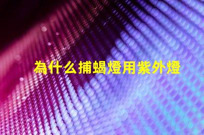 為什么捕蝎燈用紫外燈珠 為什么Xe燈是紫外光源